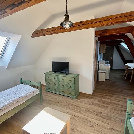 Apartmany Statek Bezdedice Hostomice Εξωτερικό φωτογραφία