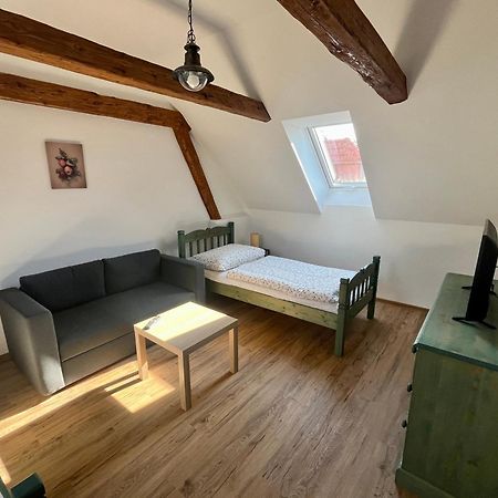 Apartmany Statek Bezdedice Hostomice Εξωτερικό φωτογραφία