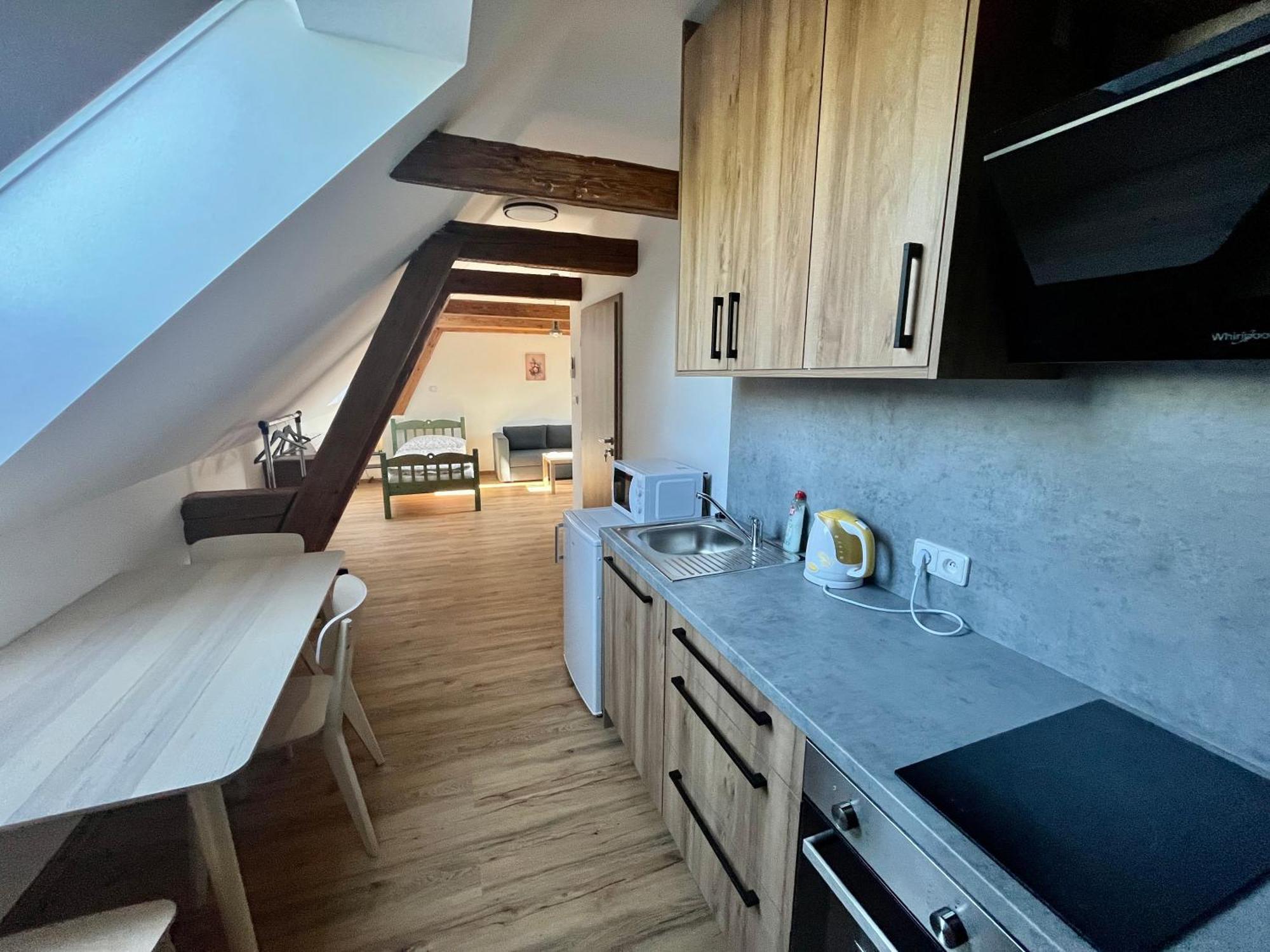 Apartmany Statek Bezdedice Hostomice Εξωτερικό φωτογραφία